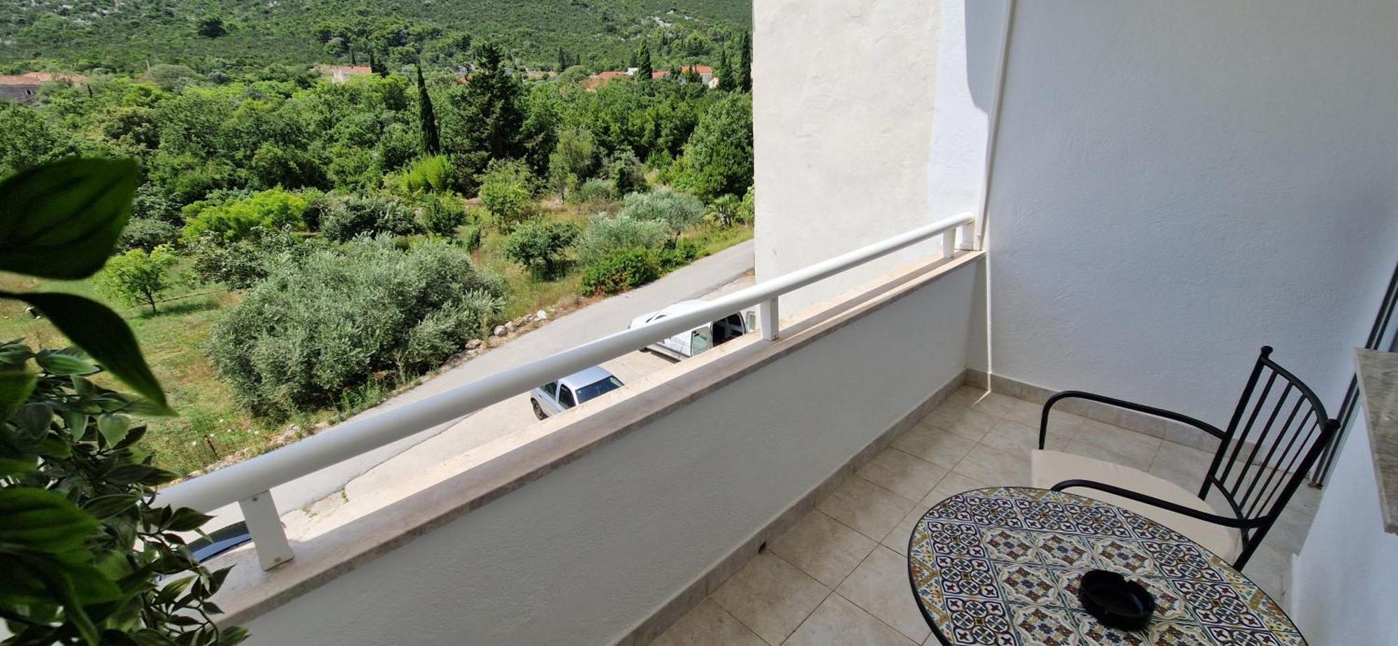 Apartment Mirjana Hodilje
